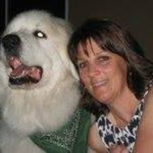 Meet your Posher, Paula